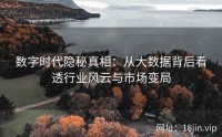数字时代隐秘真相：从大数据背后看透行业风云与市场变局