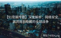 【91官网专题】深度解析：网络安全漏洞背后隐藏的全球战争