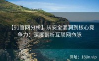 【91官网分析】从安全漏洞到核心竞争力：深度剖析互联网命脉