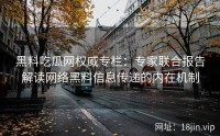 黑料吃瓜网权威专栏：专家联合报告解读网络黑料信息传递的内在机制