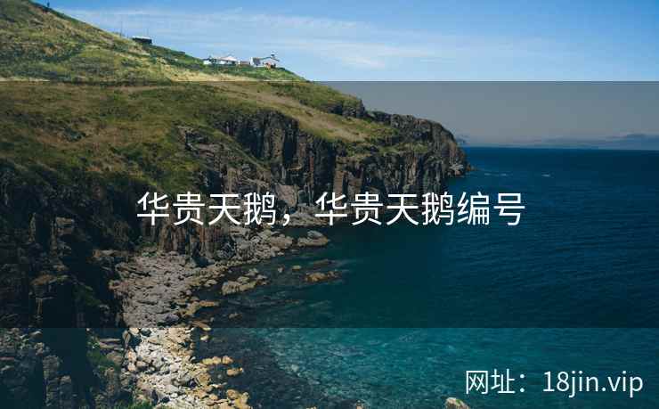 华贵天鹅，华贵天鹅编号
