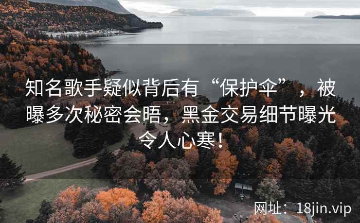 知名歌手疑似背后有“保护伞”，被曝多次秘密会晤，黑金交易细节曝光令人心寒！