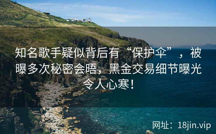知名歌手疑似背后有“保护伞”，被曝多次秘密会晤，黑金交易细节曝光令人心寒！