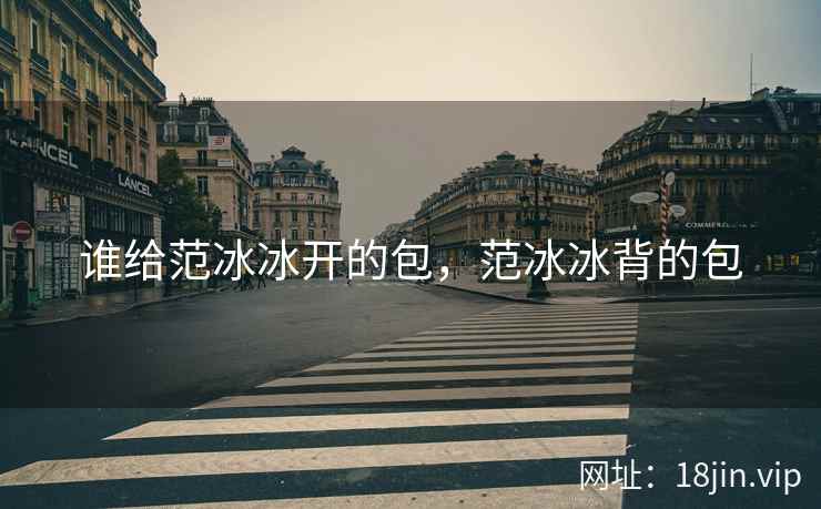 谁给范冰冰开的包，范冰冰背的包