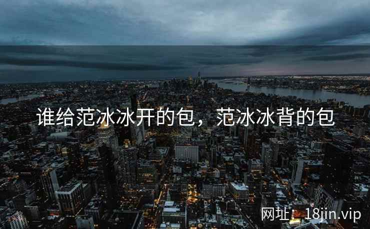 谁给范冰冰开的包，范冰冰背的包