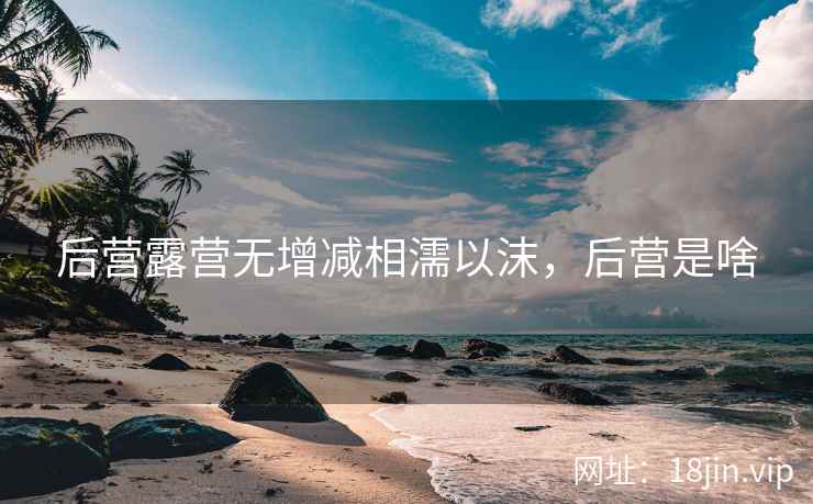 后营露营无增减相濡以沫，后营是啥