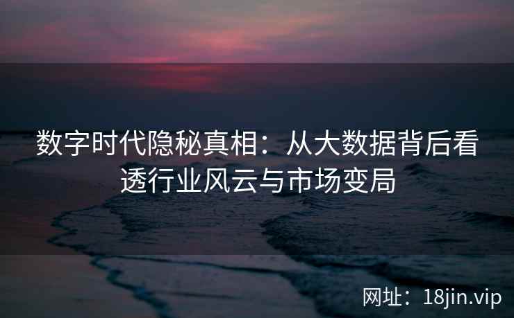 数字时代隐秘真相：从大数据背后看透行业风云与市场变局