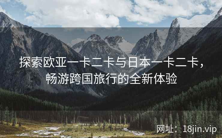 探索欧亚一卡二卡与日本一卡二卡，畅游跨国旅行的全新体验